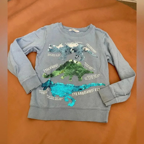 H&M dinosaur crewneck sweater for boy - Picture 1 of 5